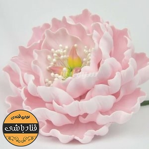 ست پیونی 5 عددی