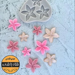 مولد 3 گل پلومریا
