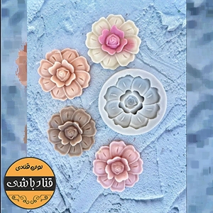 مولد گل کوکب حلوایی