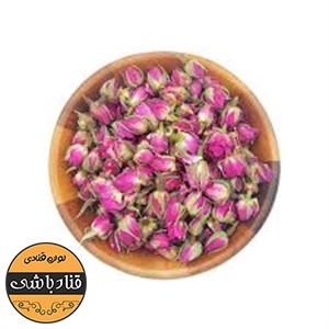 گل محمدی